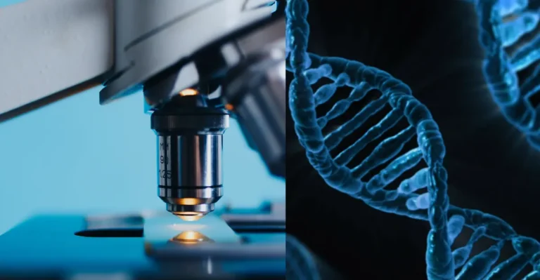 What is Biological Organization? History and Importance